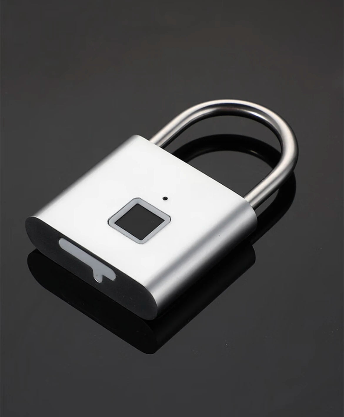 🔒 Easy SafeTrip™ Magnetic Fingerprint Lock
